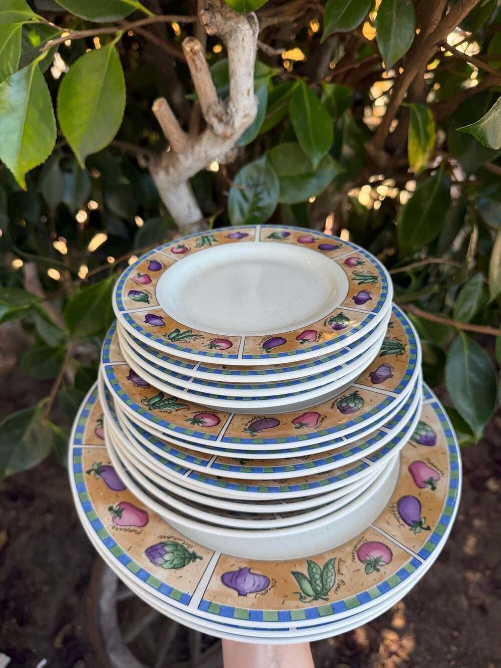 Vintage 1997 Sakura Majesticware Vegetable Delight Stoneware Dinnerware Set